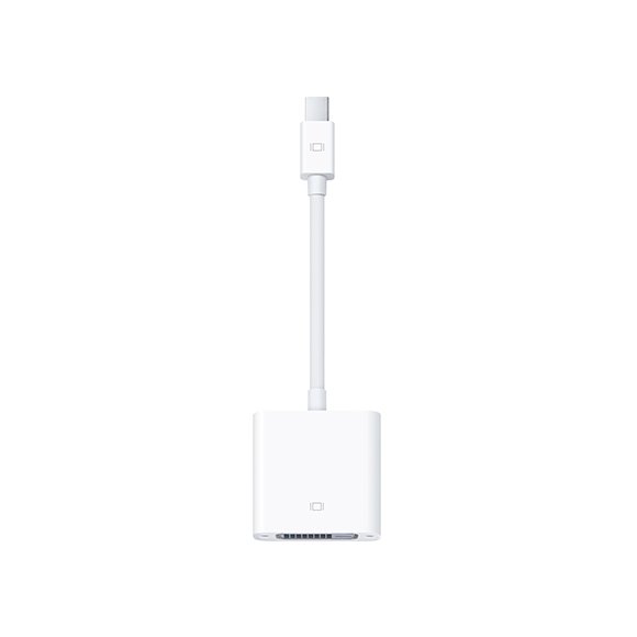 Apple Mini DisplayPort to DVI Adapter