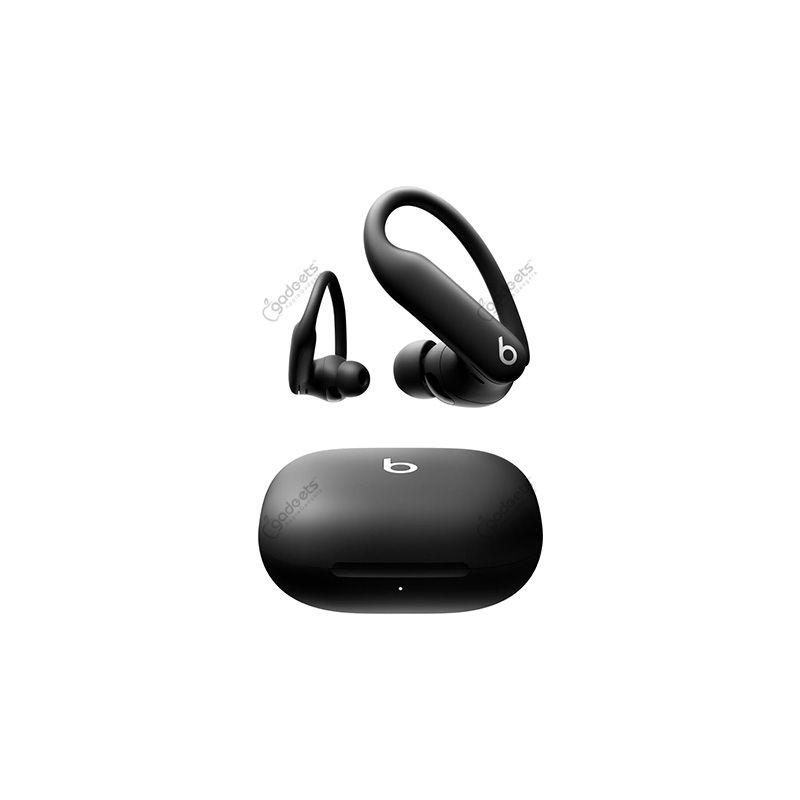 Beats Powerbeats Pro 2 ANC TWS Earbuds