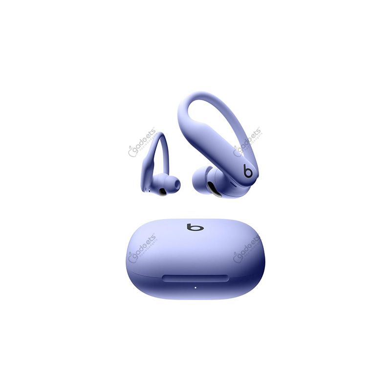 Beats Powerbeats Pro 2 ANC TWS Earbuds