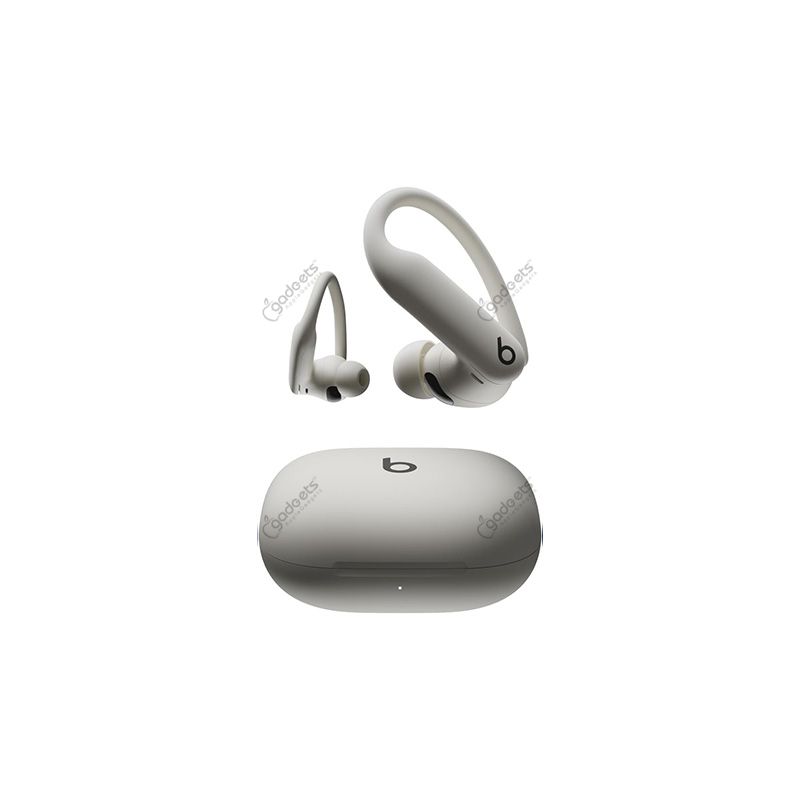 Beats Powerbeats Pro 2 ANC TWS Earbuds
