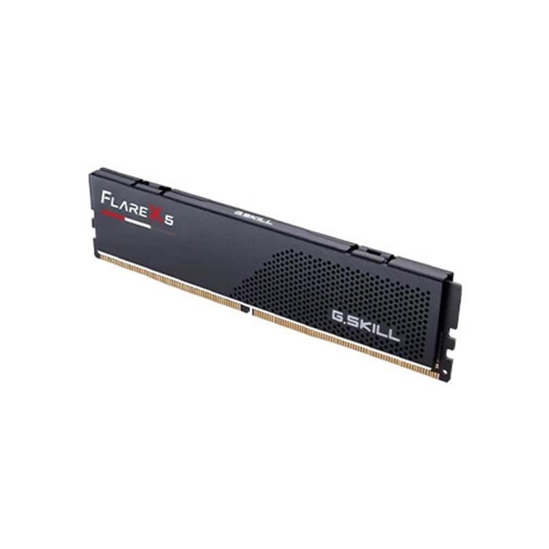 G Skill Flare X5 Ram