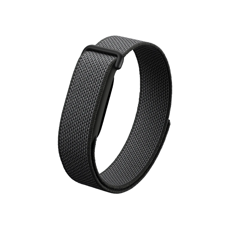 Google Fitbit Air