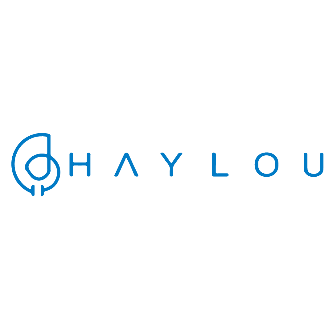 Haylou-6625