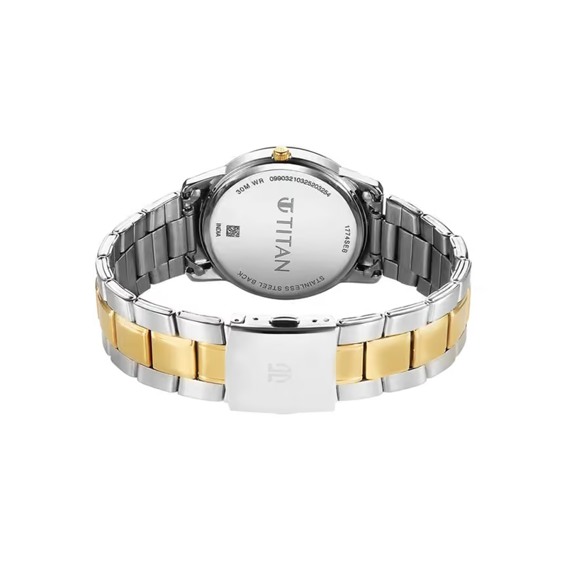 Titan 1774bm02 Mens Watch