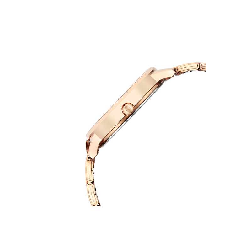 Titan 2648wm04 Womens Watch