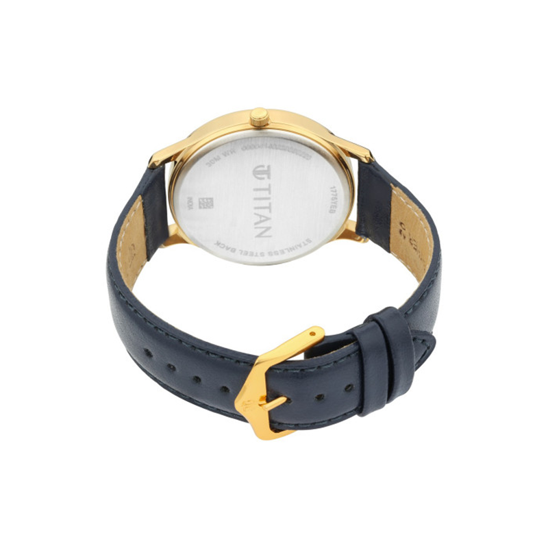 Titan Lagan 1775yl02 Mens Watch