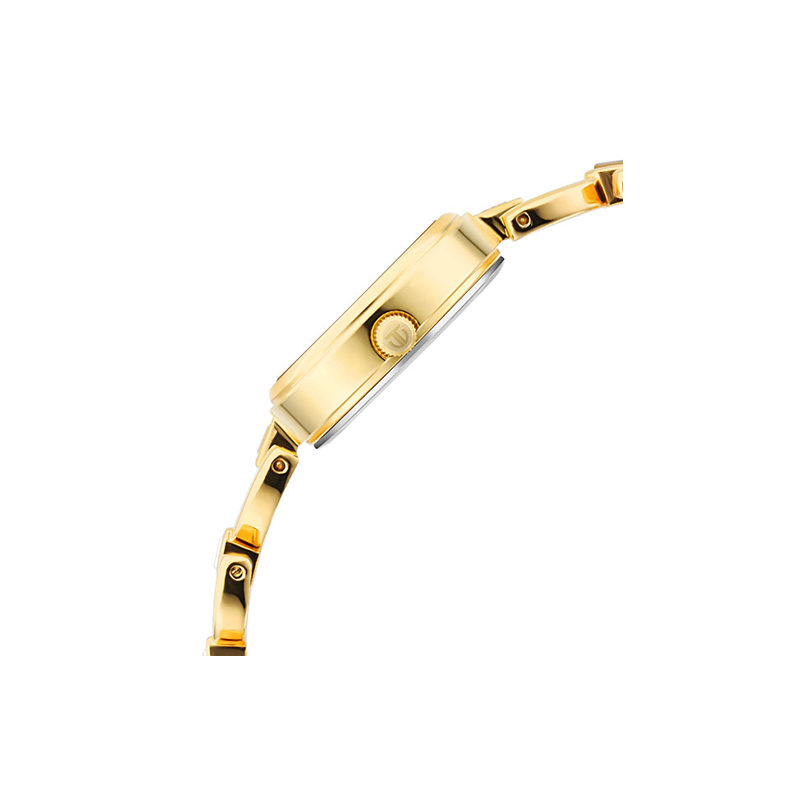 Titan Lagan 2601ym04 Womens Watch