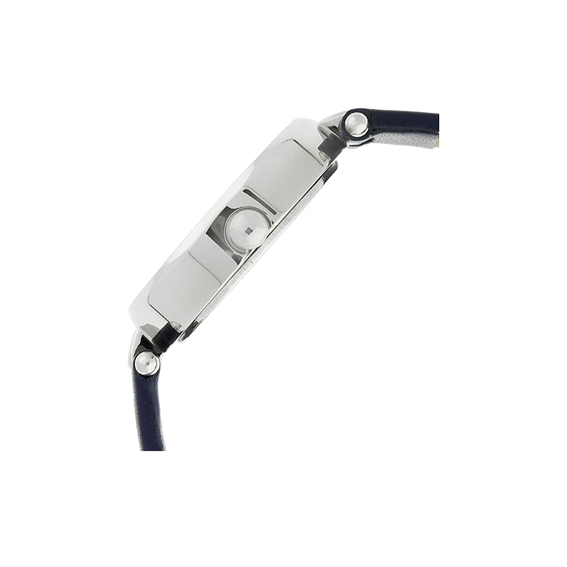 Titan Raga Viva 2579sl01 Womens Watch