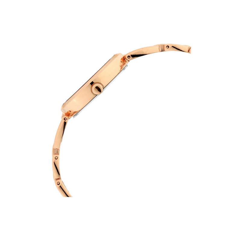 Titan Raga Viva 2642WM01 Quartz Analog Metal Strap Women's Watch