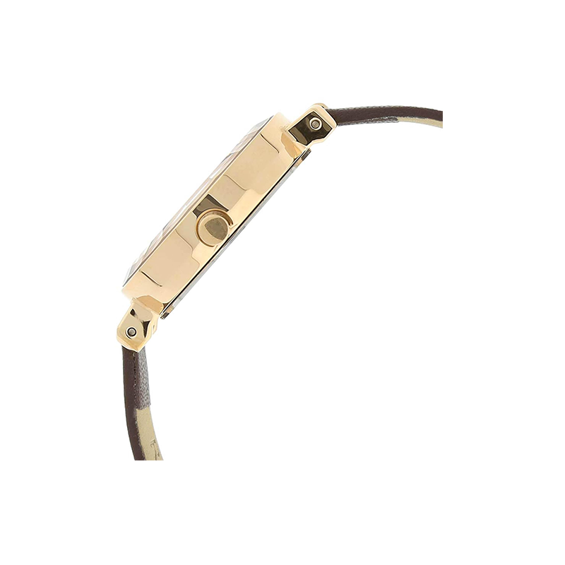 Titan Raga Viva Quartz 2575wl01 Womens Watch