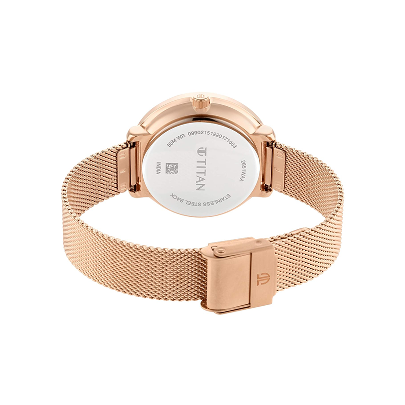 Titan Workwear 2651WM01 Analog Stainless Steel Women's Watch
