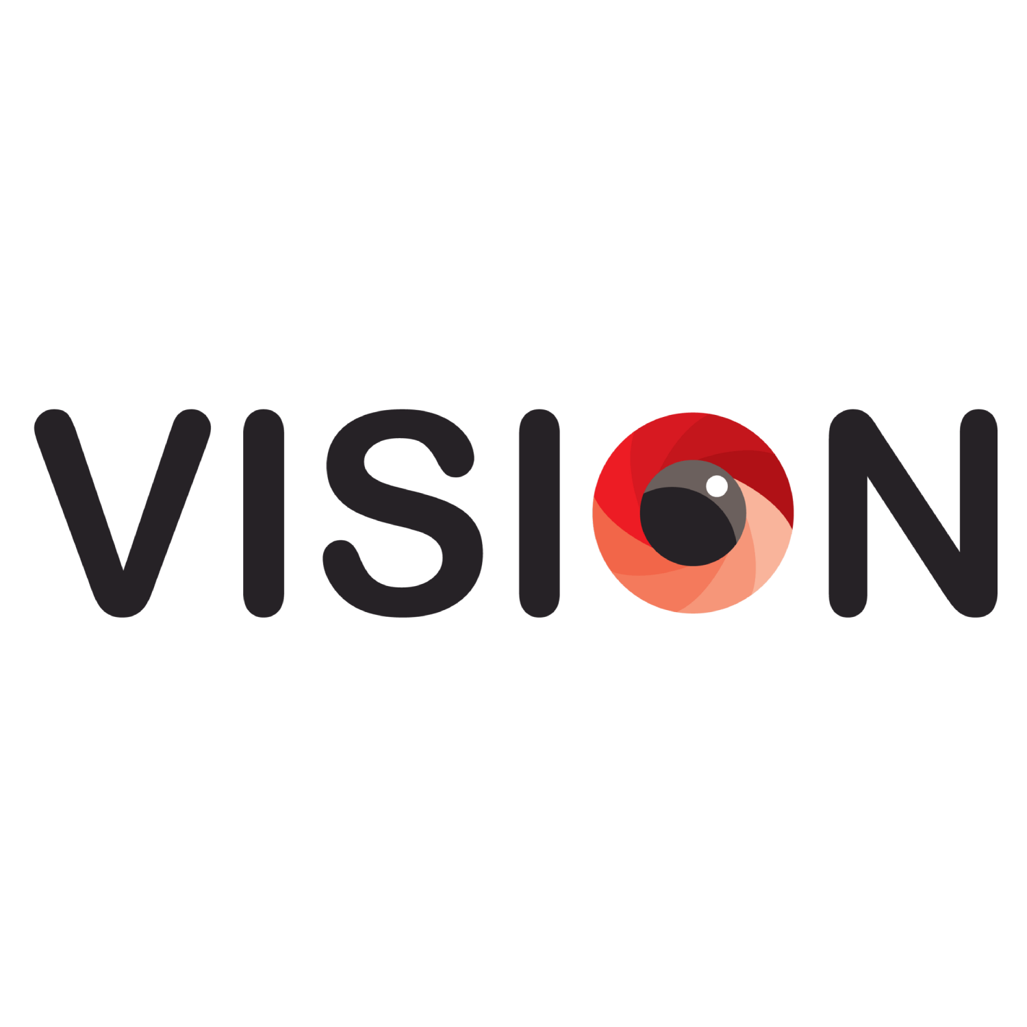 VISION