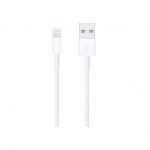 Apple Lightning to USB Cable - 0.5m