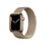 Apple Watch Series 7 Stainless Steel Case with Milanese Loop