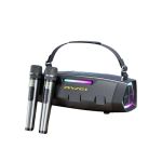 Awei KT28 Karaoke Wireless Speaker With Dual Microphone