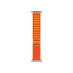 Coteetci Alpine Loop for iWatch