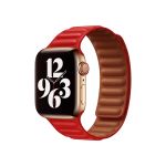 Coteetci Dual Magnetic Watch Band for iWatch