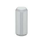 Sony SRS-XE300 X-Series Portable Wireless Speaker