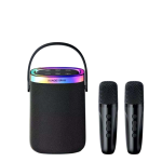 Xundd SP013 Wireless Karaoke Wireless Speaker